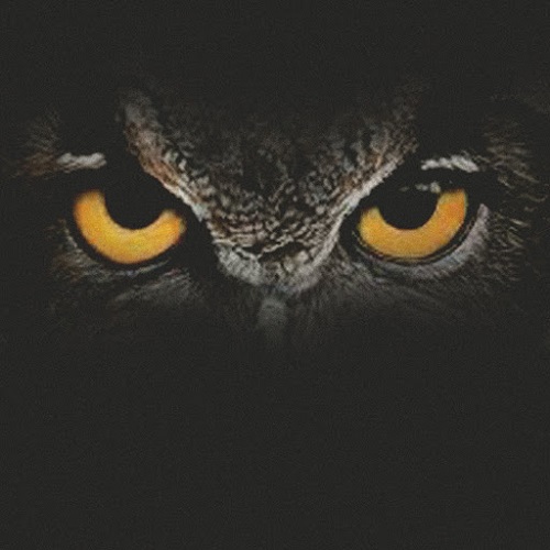 Horus - Час Сов [Single] (2018)