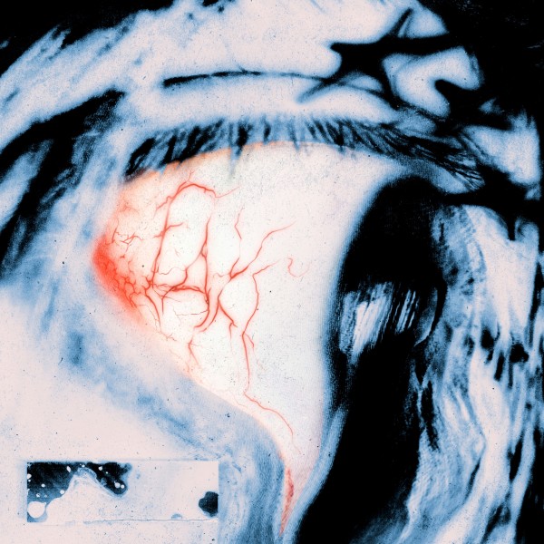 Kickrox - u are fak3 [Single] (2025)