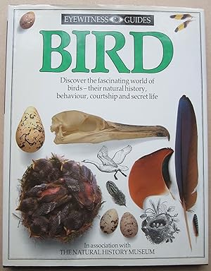Bird – Matt Kracht Bird – Matt Kracht