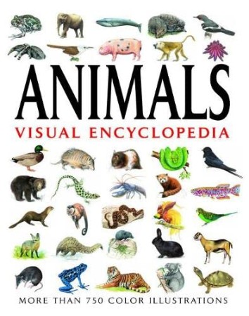 Animals Visual Encyclopedia – DK