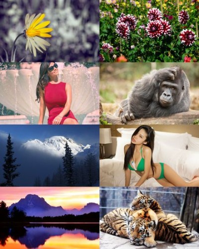 Wallpapers Mix 1932