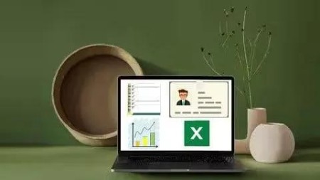 Complete Advanced Data Entry Application In Microsoft Excel Complete Advanced Data Entry Application In Microsoft Excel