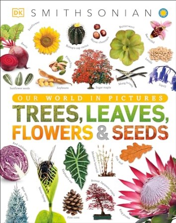 Trees, Leaves, Flowers and Seeds – DK