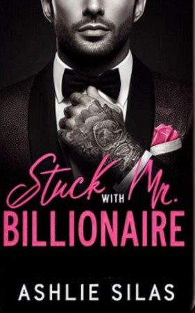 Stuck With Mr. Billionaire – Ava Rylan