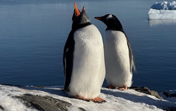 Украинские полярники установили рекорд на международном фотоконкурсе
