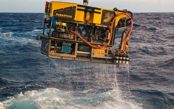 Колоссального кальмара впервые увидели в глубинах океана