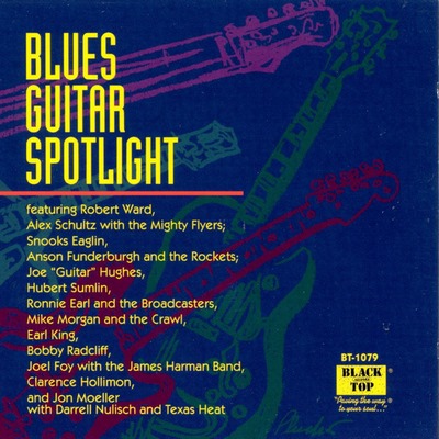 Various Artists - Blues Guitar Spotlight (1992)