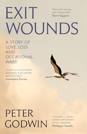 Exit Wounds – Peter Godwin