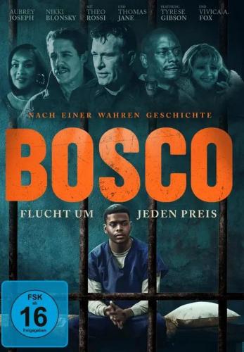 Bosco Flucht um jeden Preis 2024 German AC3 DL WEBRip x264 - HQCD