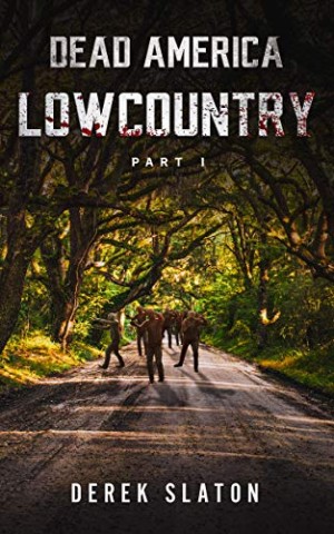 Cover: Derek Slaton - Dead America - Lowcountry - Teil 1