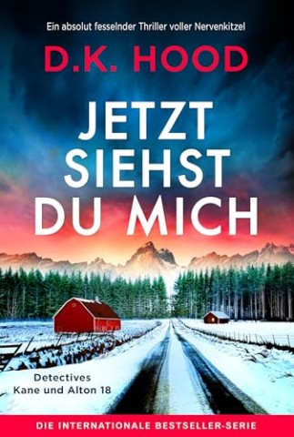 Cover: D.K. Hood - Jetzt siehst du mich: Ein absolut fesselnder Thriller voller Nervenkitzel (Detectives Kane und Alton 18)