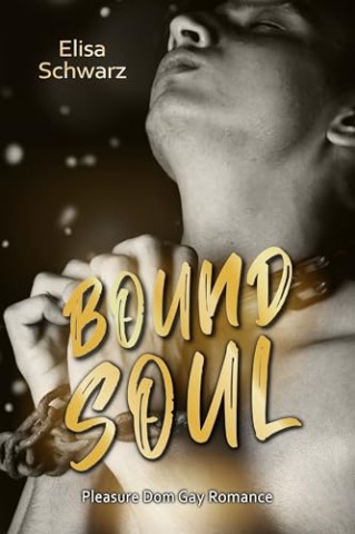 Cover: Elisa Schwarz - Bound Soul