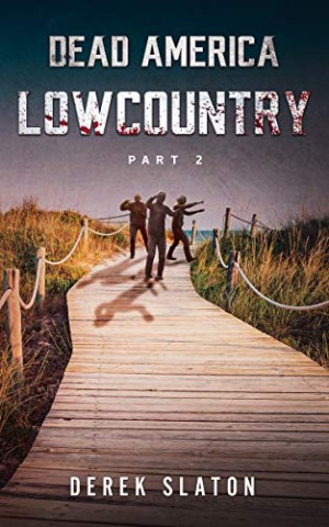 Cover: Derek Slaton - Dead America - Lowcountry - Teil 2