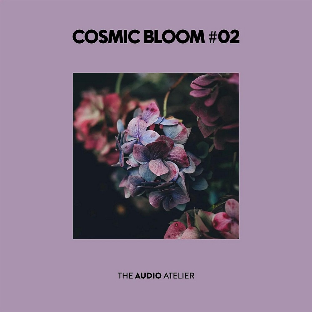 Cosmic Bloom #02 (2025)
