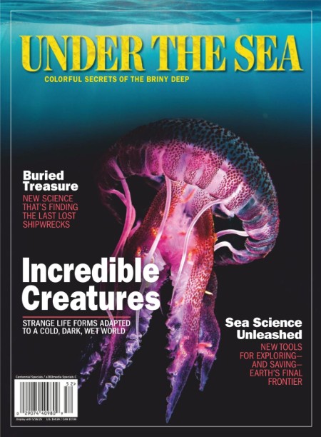 Under The Sea Colorful Secrets of the Briny Deep, 2025