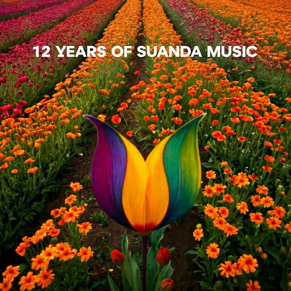 12 Years Of Suanda Music (2025)