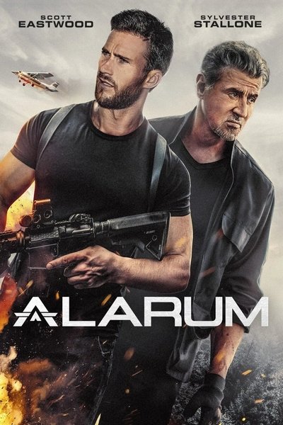 Alarum.2025.German.WEBRip.DL.1080p.x265.AAC-LDO