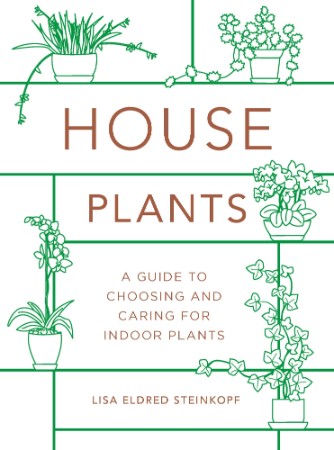 ccd7553e5d95c6434c912a0e1884fc34 - Houseplants - Steinkopf