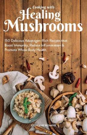 Healing Mushrooms – Tero Isokauppila