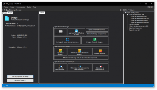 DISMTools 0.6.2