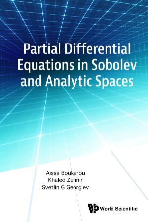 Partial Differential Equations in Sobolev and Analytic Spaces – Boukarou
