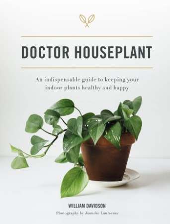 Doctor Houseplant – Davidson
