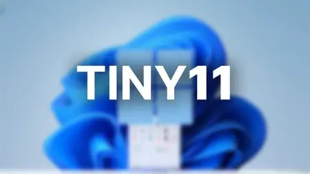 tiny11 Core 24H2 Build 26100.3775 (No TPM)