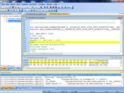 PilotEdit 19.8 Multilingual