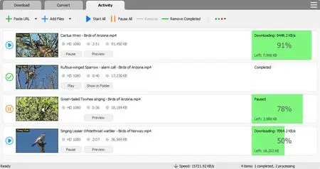 YT Video Downloader 11.25.2