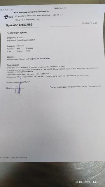 Изображение