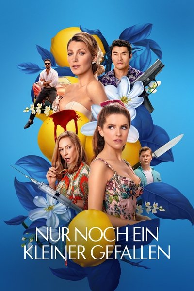 Nur.noch.ein.kleiner.Gefallen.2025.GERMAN.DL.1080P.WEB.H264-WAYNE