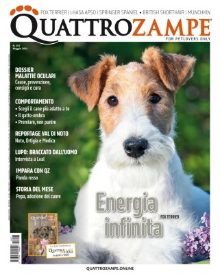 QuattroZampe - Maggio 2025