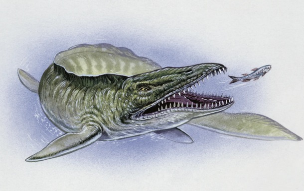 В США нашли окаменелость мозазавра времен динозавров