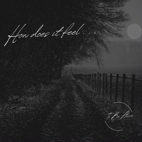 To Be Alive - How Does It Feel... (2025)