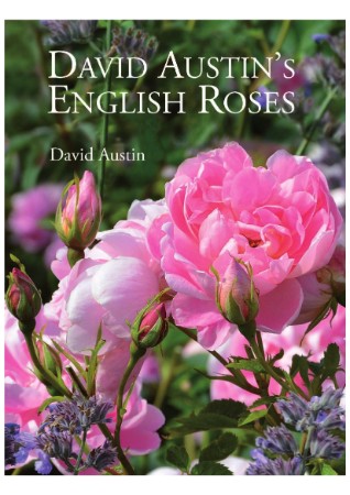 de9609086efd5a9f4b172a45f33ae798 - English Roses - David Austin