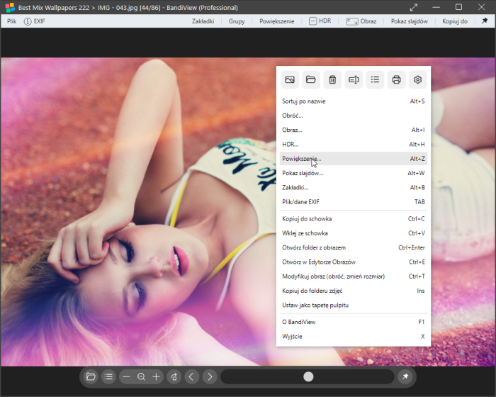 BandiView Professional 7.14 Build 29233 (x64) MULTi-PL