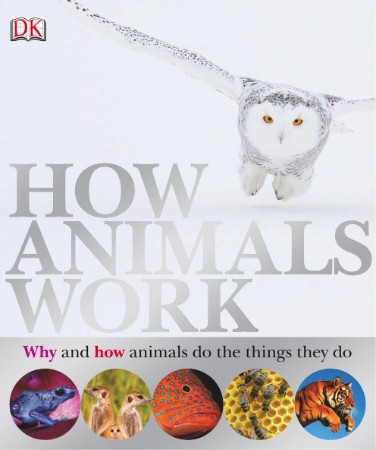 c0e65d89ebb5c9847c2dd6a9f68472d6 - How Animals Work - DK