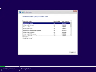 Windows 11 AIO 16in1 24H2 Build 26100.3915 (No TPM Required) Preactivated 4040264f4093a9a07ae715a968aa7133webp - Windows 11 AIO 16in1 24H2 Build 26100.3915 (No TPM Required) Preactivated