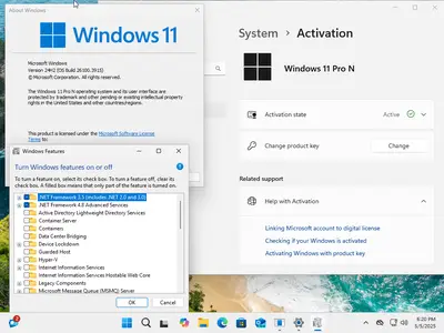 Windows 11 AIO 16in1 24H2 Build 26100.3915 (No TPM Required) Preactivated Multilingual 5b482fc1394cdce04eaab21eeb126fbfwebp - Windows 11 AIO 16in1 24H2 Build 26100.3915 (No TPM Required) Preactivated Multilingual