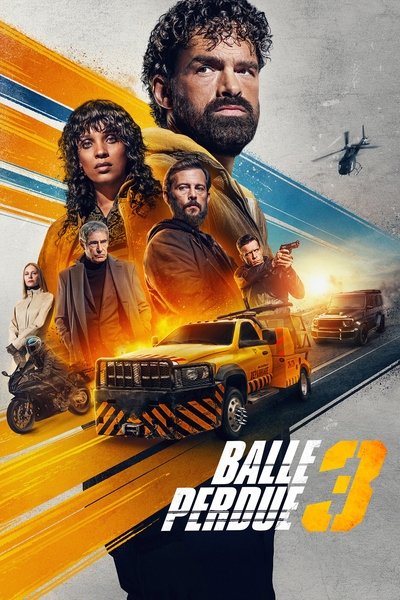 Verirrte.Kugel.3.2025.GERMAN.DL.1080p.WEB.H264-FWB