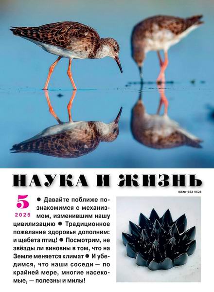 Наука и жизнь №5 (май 2025)
