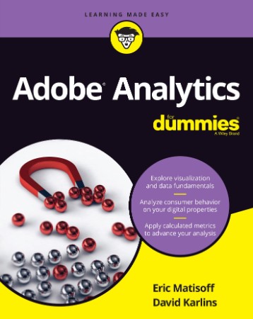 4f9d07258c8ef8a14c936cb89d2b51f3 - Adobe Analytics for Dummies - Karlins