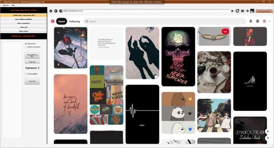 Ninja Pinner 7.8.5.0