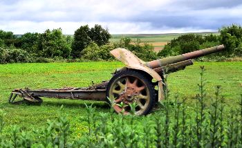 Cannon 105-28 Schneider Ansaldo Walk Around