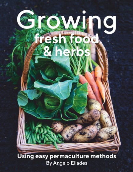 Growing Fresh Foods  Herbs 2025