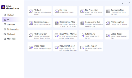 GiliSoft File Lock Pro 14.0