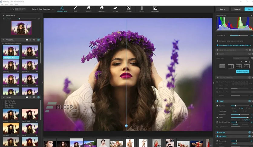 Perfectly Clear WorkBench 4.7.0.2794 (x64) Multilingual