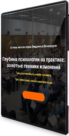 постер к Владимир Виноградов - Глубина психологии на практике: золотые техники изменений (2025) Тренинг