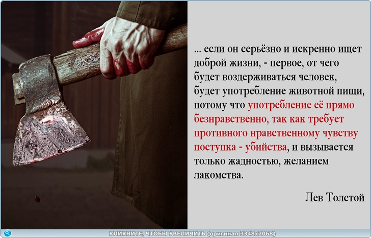 https://i125.fastpic.org/big/2025/0516/88/d6d1b8087614b85eef69149359682188.jpg