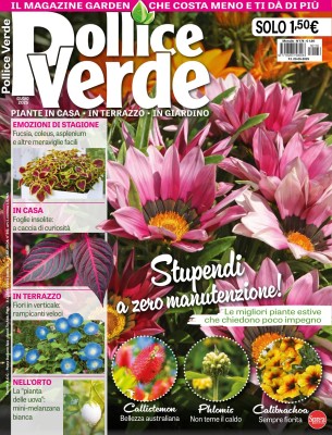 Pollice Verde - Giugno 2025